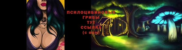 первитин Михайлов