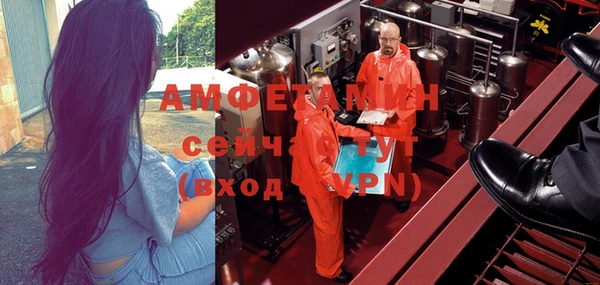 первитин Михайлов